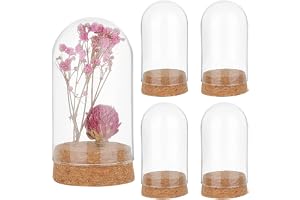 PH PandaHall 4 st glasdisplay kupol cloche, glasklocka burk, 4,7 x 8,5 cm | Liten glaskupol med korkbas, dekorativa julburkar, klar displaykupol för hantverk, växtförvaring, dekor för hemmafest