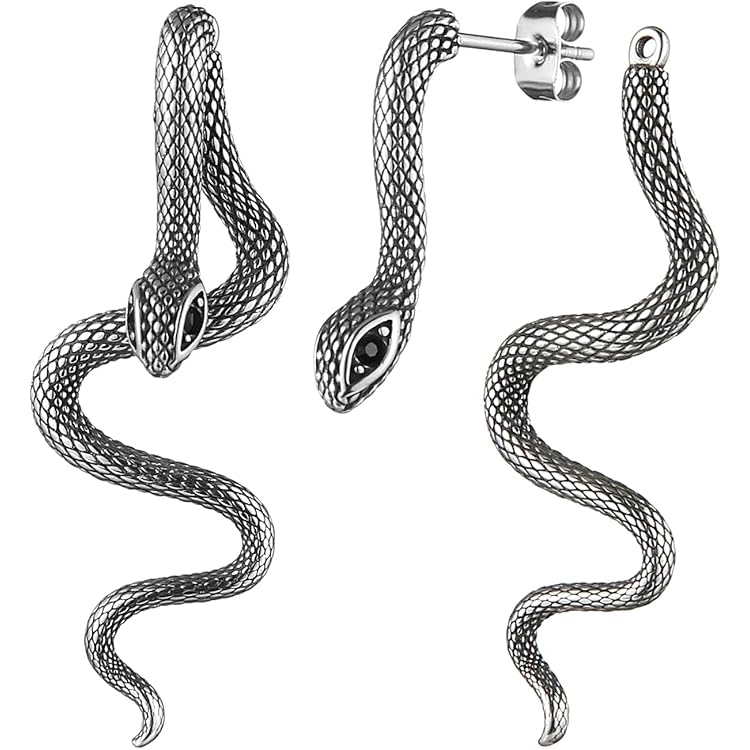 Wendalern Gothic zwarte slang druppeloorbellen lange slang hars acryl oorbellen punk slang dier bengelen oorbellen sierlijke slang gevormde haak oorbellen Halloween sieraden voor vrouwen mannen, Zink