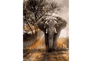 Amiiba DIY Paint by Numbers Kits, African Grassland Animals Elephant 16x20 inch Acrylic Painting by Number Wall Art Crafts (Elephant, Without Frame)