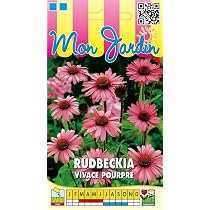 Graines De Rudbeckia Pourpre Vivace - 1 G, Fleurs Rustiques, Par Les Graines Bocquet