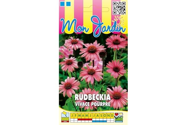 Sachet de graines de Rudbeckia vivace pourpre - 1 g - fleur vivace - LES GRAINES BOCQUET