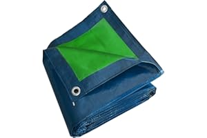 TECPLAST Bâche de Protection 5x8 m SR150MU Bleue et Verte - Haute Qualité - Bâche d'extérieur imperméable avec Oeillets