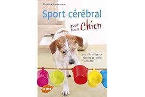 Sport cérébral pour mon chien