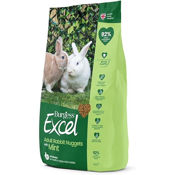 GFD Targhetta Commemorativa Da Giardino Per Animali Domestici. Uso Esterno, Personalizzabile, Impermeabile. Mis 25x12 Cm (Argento