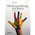  Die Entwicklung der Sinne: Wahrnehmungsförderung im Kindergarten 