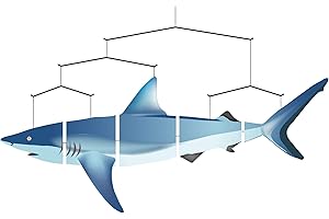 Invento Shark Mobile zum Aufhängen, Blau