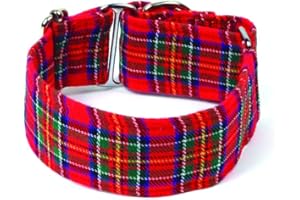 Galguita Amelie. 5 cm Taglia L (40-49 cm) Collana Martingale Scozzese.