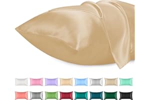 Lirex Zestaw 2 satynowych poszewek na poduszkę 40 x 60 cm, miękkie jak jedwabne, poszewka na poduszkę 40 x 60 cm, poszewka na poduszkę dla włosów i skóry, certyfikat Oeko-Tex, kolor szampański