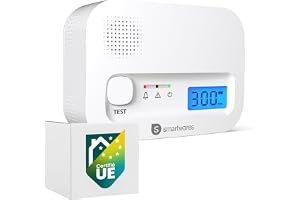 Smartwares Détecteur de monoxyde de Carbone FGA-13041 - Capteur 10 Ans - avec écran et Bouton de Test