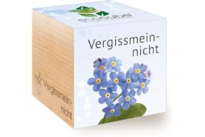Feel Green Ecocube Vergissmeinnicht, Nachhaltige Geschenkidee (100% Eco Friendly), Grow Your Own/Anzuchtset, Pflanzen Im Holzwürfel, Made in Austria