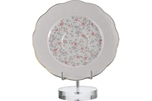 BTSKY Cavalletto per espositore con braccio in metallo argento regolabile di medie dimensioni con base rotonda in acrilico, espositore per monete in corallo fossile agata minerale roccia geodi