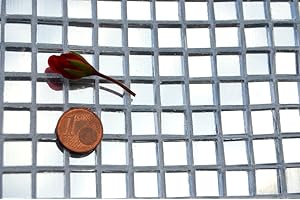 BAZARE MASUD E.K. 100 Stück Spiegelmosaik 1x1cm ca. 85g Stärke ca. 4mm Spiegelsteine (Silber)