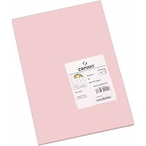 CANSON Iris Vivaldi Papier Couleur A3 - 25 Feuilles 185g/m²