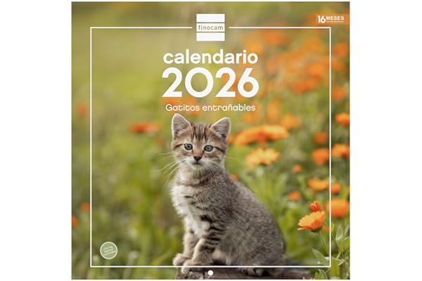 Finocam - Calendario de pared 2026 30x30 cm Mes Vista Enero - Diciembre 2026 + Sep.- Dic. 2025 (4 meses) reducidos | Calendario 2026 | Imágenes Gatitos - Español