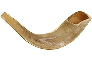 SHOFAROT ISRAEL KOSHER ODORLESS POLISHED SHOFAR | Genuine Natural Rams Horn | Smooth Mouthpiece for Easy Blowing | Includes Velvet like Drawstring Bag and Shofar Blowing Guide (10”-12”)