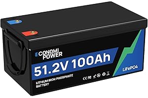 48V 100Ah LiFePO4 Batterie, EconomiPower 100A BMS Lithium-Batterie mit Grade A Zellen, 5120Wh nutzbare Energie für Wohnmobile, Trolling-Motoren, Yachten Solar-Wind-Energie-Speicher und Off Grid Leben