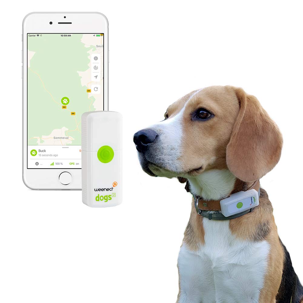 Dog GPS tracker Weenect GPS live tracking No distance limit