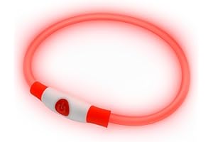 PetSol Collar LED para Perros en Rojo - Collar de Seguridad para Perros y Gatos con Luz Intermitente Recargable por USB - Tamaño Pequeño, Mediano y Grande - Brilla en la Oscuridad para Mayor Seguridad
