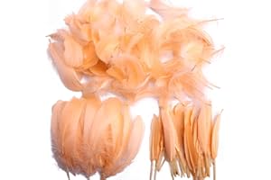 PVEATH Plumes, 250 pcs Plume pour loisirs créatifs,colorées frappantes pour loisirs créatifs, loisirs créatifs, plumes naturelles pour mariage/fête/décorations(3 tailles) (Champagne)