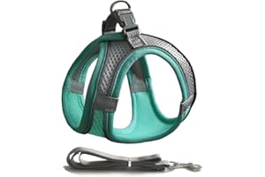 CREAHAUS Cat Harness with Leash Set, Kitten Harness Soft Cat Leash with Reflective Strips Small Dog Rabbit Leash for Walking Outdoor Activities (M, Green)