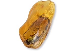 BUDAWI-TROMMELSTEINE Budawi® Echter Bernstein Trommelstein 30 bis 35 mm Naturbernstein inklusive Echtheitszertifikat und Aufbewahrung im Organzasäckchen – fossiles Harz als Handschmeichler