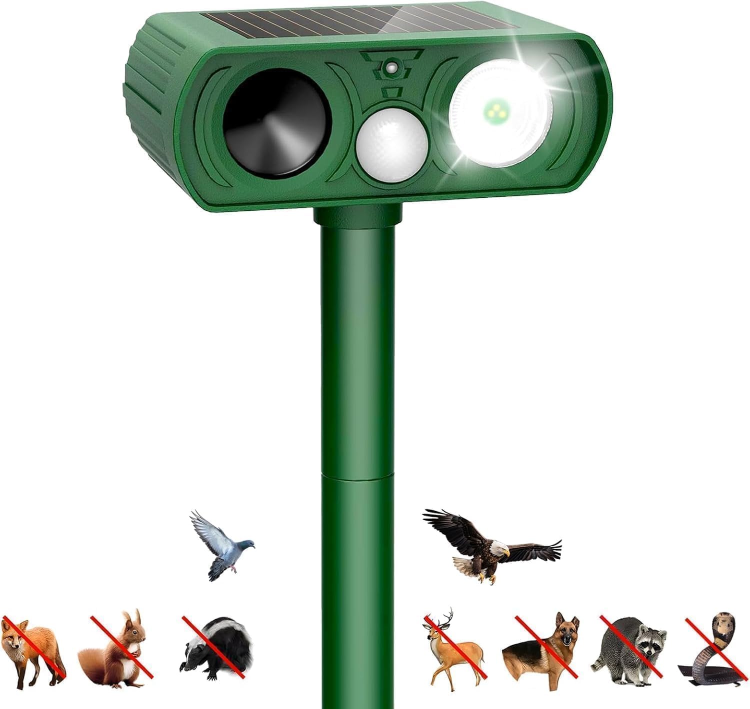 Vue 9