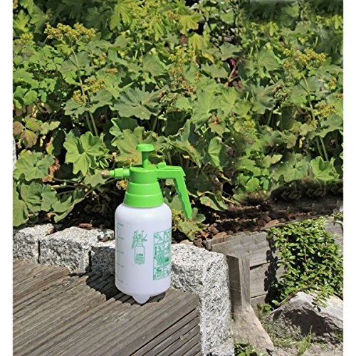 Preisvergleich Produktbild Benelando Drucksprüher / Gartenspritze / Pumpsprüher mit zwei Liter Volumen