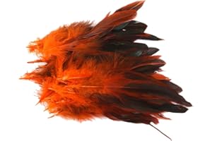 Mnixy Queue de coq naturelle, décoration, bricolage, coiffe, 50 plumes orange, taille unique