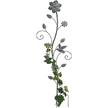 DanDiBo Aiuto per arrampicata cuore verde con uccelli 96018 Aiuto per