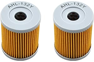 TONGTONG AHL- Motocyclette Filtre à Huile 2 pcs pour YAMAHA YP400 X-Max 400 2013-2019/ Yp400MAJESTY 400 2014-2018/ Yp400MAJESTY 400 2004-2018/ Cp250MORPHOUS 250 2006-2008