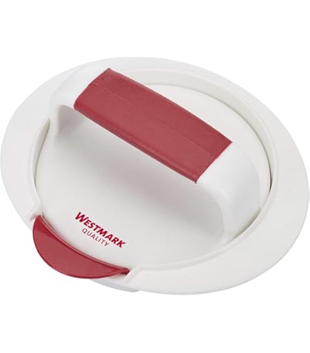 Anti-aanbak burgerpapier, 100 vellen rond anti-aanbak pergamentpapier hittebestendig, 11 cm hamburger patty papier, scheidingspapier, waxpapier voor perfecte burgers, hamburgers