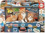 Unos gatitos viajeros posan con una maleta llena de recuerdos