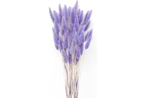 JKDHJK 50 Pcs Pampas Grass Dried Flowers, Rabbit Tails Dried Flowers No Odor Never Wither Pampas Grass Bouquet Boho Decor Extra Fluffy for Table Decoration Bedroom Decor (Light Purple)