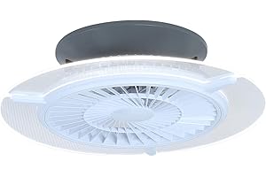 MILLE LUCCIOLE FUPE Ventilateur de Plafond Intelligent Moderne avec Kit d'Eclairage LED Dimmable Ventilateur plafonnier App Télécommande 70W Ventilateur au plafond pour Salon/Restaurant/Chambre/Patio
