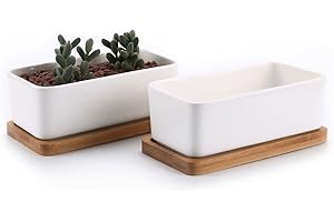 T4U 16,5 cm Zestaw 2 doniczek na sukulenty, prostokątna ceramiczna doniczka na sukulenty z bambusową podstawką, mały garnek na kaktus z otworem odpływowym, biała na soczyste przyprawy z aloesem,
