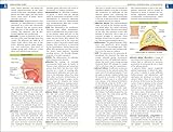 Image de BMA Illustrated Medical Dictionary: Essential A-Z quick reference to over 5,500 medical terms