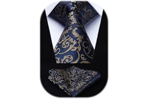 HISDERN Ensemble cravate et mouchoir à motif cachemire fleuri extra long pour homme