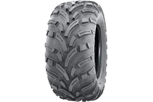 Parnells - 1 Pneu ATV Tubeless, 25x11.00-12 - 6 Plis Wanda P373a, Diamètre 643 mm, Largeur 277 mm, 455 kg - E-Marked, Road Legal