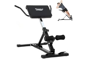 NOVONOVA Silla Romana Multifuncional Respaldo Ajustable, Banco de Pesas Inclinable, ahorra espacio, Banco Lumbares, Banco De Abdominales para extensiones de espalda, entrenamiento de fuerza, glúteo