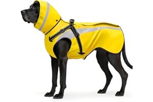 Oslueidy Impermeabile per Cani Cappotto Cane Ombrello per Cani Vestiti Mantellina Pioggia Cane per Piccoli Medio Grandi Cuccioli S-XXL (Giallo, XXL)