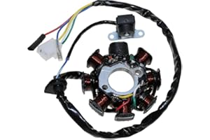 CITOMERX Lichtmaschine Version 2 für 4-Takt China Roller GY6 für AGM Azel Baotian Buffalo Ecobike Ering Flex Tech Huatian Jonway Lifan Peugeot Rex Tauris Sachs