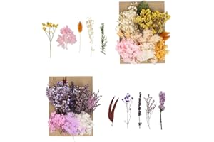 DULSPUE Fiori secchi Naturali - 2 Pezzo di Fiori secchi pressati,Kit di Fiori secchi per Fare Trucco Scrapbooking Candele Decorative per Album Fotografico Fai da Te (Miscela di Colori)