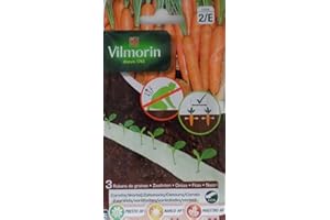 3 Cintas biodegradables Vilmorin 525 semillas de ZANAHORIA (cultivo fácil)