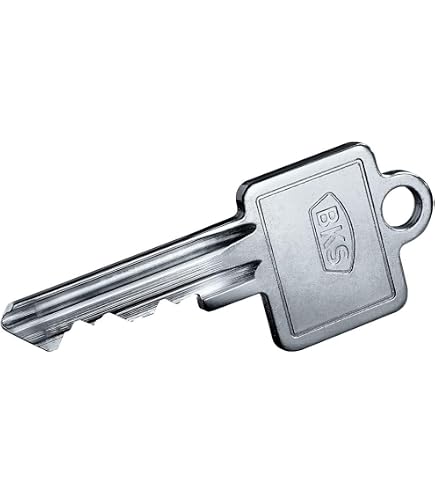ABUS Schließzylinder EC 550 Kaufen
