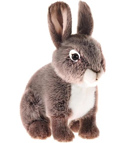 Uning onanizmini sharhlash Uning onanizmini sharhlash