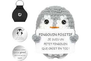 SPRINLOT Pingouin Positive, Pingouin Positif en français, Peluche Poupées Pingouin avec Carte Positive, Mini Motivantes Tricotée Pingouin, Rigolo Créatifs Peluche Cadeaux pour Famille Enfant Couple Collegue 27