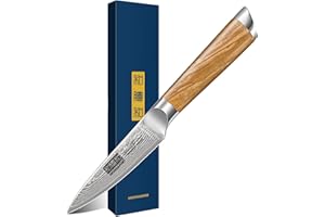 HOSHANHO Couteau d'Office et à Légumes, 9.5cm Super Tranchant Japonais Couteau à Fruits Couteau de Eplucher Damas 67 Couche Acier avec Manche Ergonomique en Bois