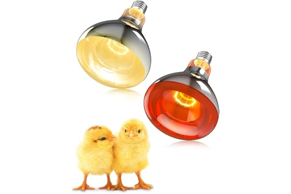 GlowUp Set de Ampoule Chauffante 250W E27-1x Infrarouge Lumière Rouge + 1x Lumière du Jour, pour Lampes Chauffantes Volailles, Poussins, Chiots, Porcelets, Agneaux, Chatons, Reptiles