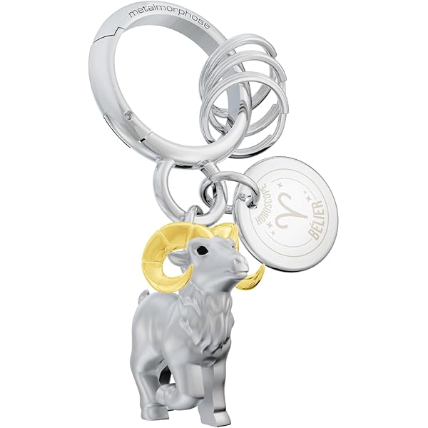 O Meta[l]morphose METALMORPHOSE Porte-clés Supercar Noire