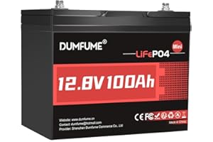 Dumfume Batería de Litio Mini 12V 100Ah LiFePO4, BMS 100A Integrado, 1280Wh 15000 Ciclos, Vida Útil de 10 Años, Batería Solar para Autocaravanas, Camper, Sistema Solar